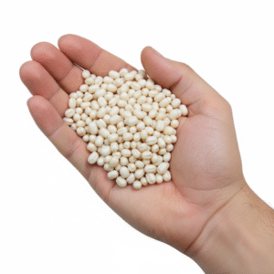 urad dal whole உளுத்தம் பருப்பு (ulutham paruppu)