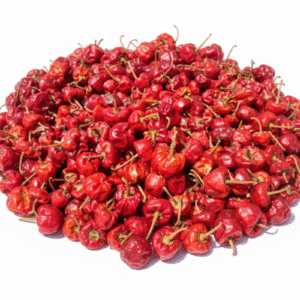 dried round chilli குண்டு மிளகாய் (gundu milagai )
