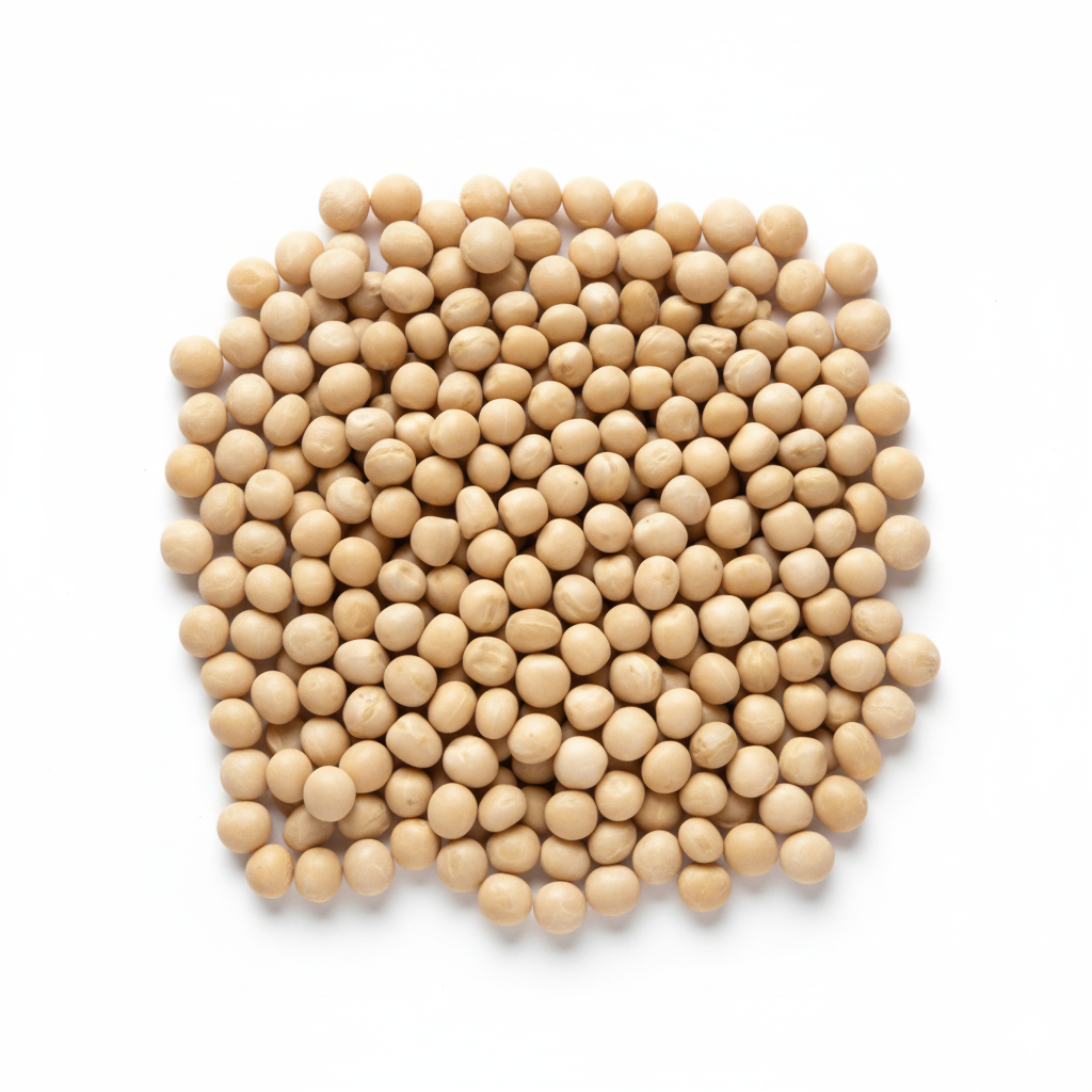 generated image november 20, 2025 6 14am