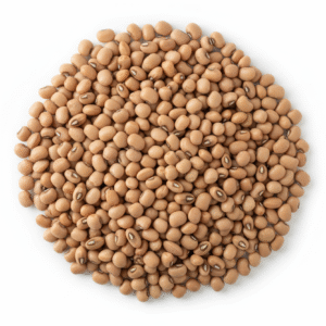 cowpeas தட்டைப்பயறு (thatta payaru)