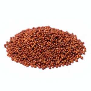 foxtail millet திணை (thinai)