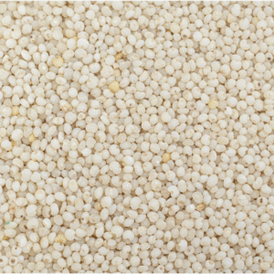 kodo millet (polished) வரகு (varagu)