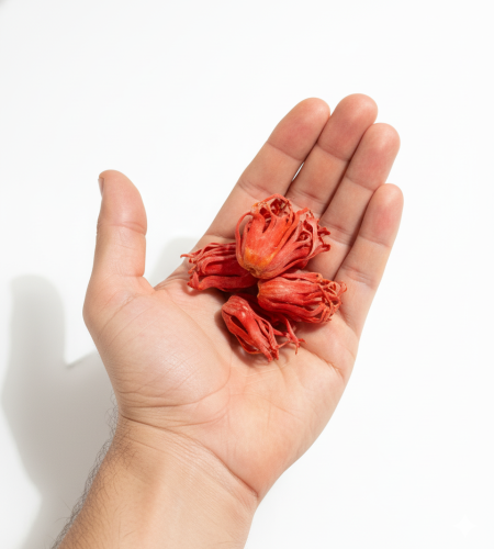 About generated image november 10, 2025 4 17pm