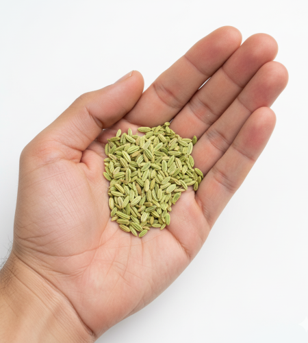 About generated image november 10, 2025 4 19pm