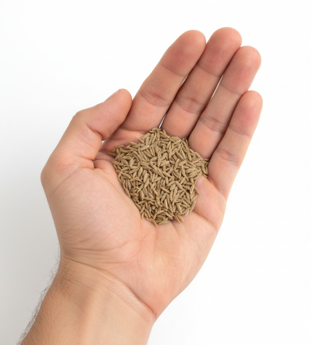 About generated image november 10, 2025 4 23pm